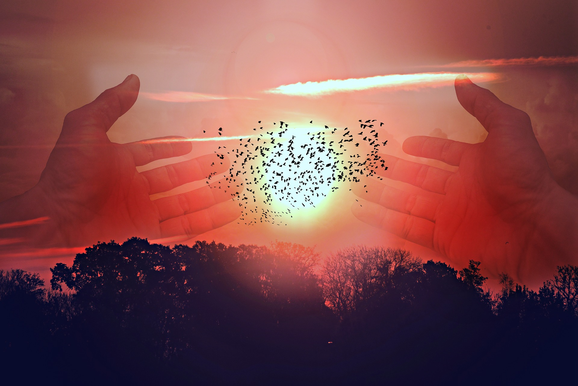 soulsource